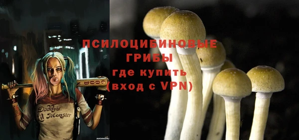 таблы Магас