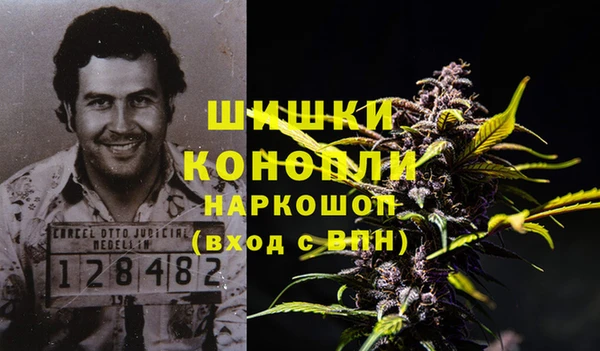 spice Верея