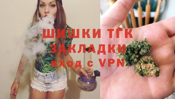 трава Медвежьегорск