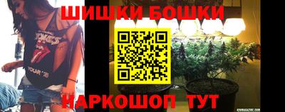 стафф Бийск