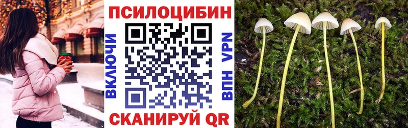 Галлюциногенные грибы GOLDEN TEACHER  Лобня 