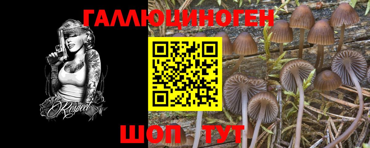 Псилоцибиновые грибы Cubensis  Псилоцибиновые грибы Cubensis  наркота  Вход с VPN  Лобня 